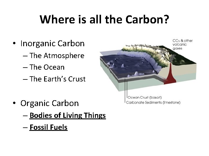 Where is all the Carbon? • Inorganic Carbon – The Atmosphere – The Ocean