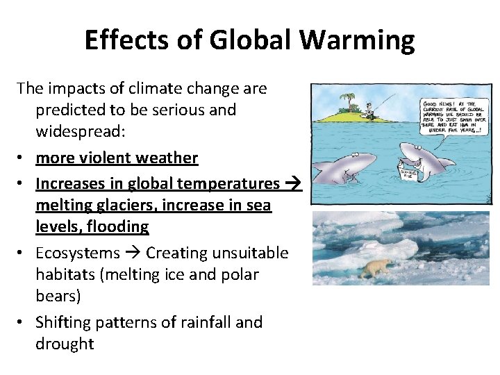 Effects of Global Warming The impacts of climate change are predicted to be serious