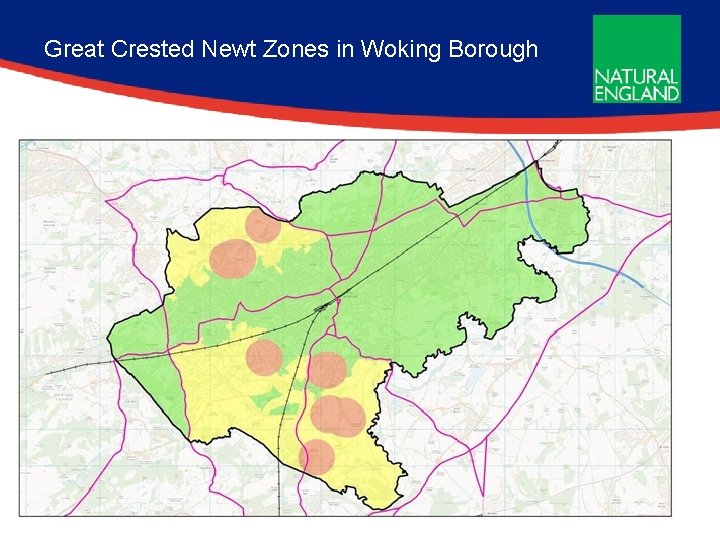 Great Crested Newt Zones in Woking Borough 