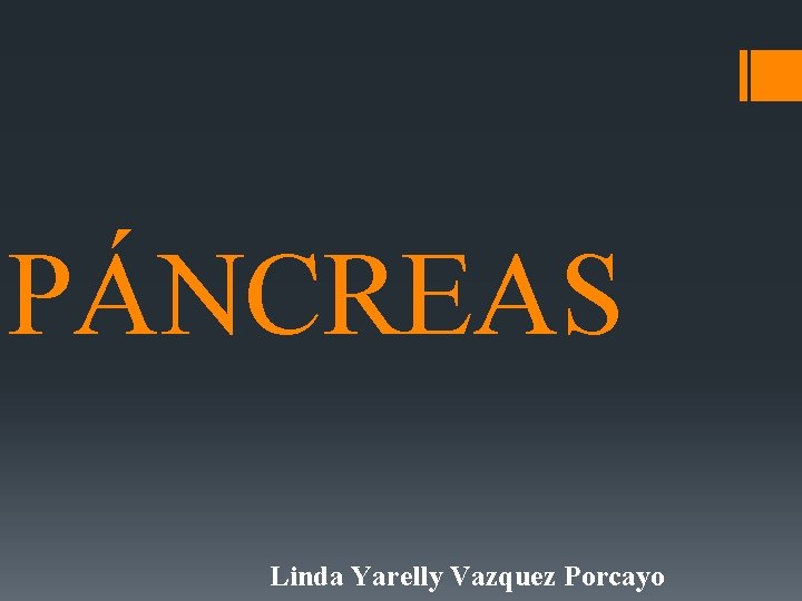 PÁNCREAS Linda Yarelly Vazquez Porcayo 