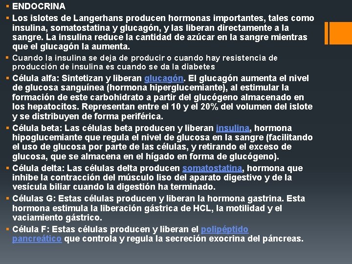 § ENDOCRINA § Los islotes de Langerhans producen hormonas importantes, tales como insulina, somatostatina