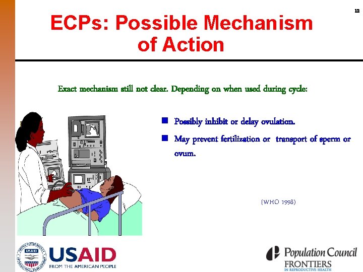 ECPs: Possible Mechanism of Action Exact mechanism still not clear. Depending on when used