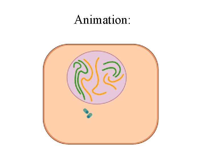 Animation: 