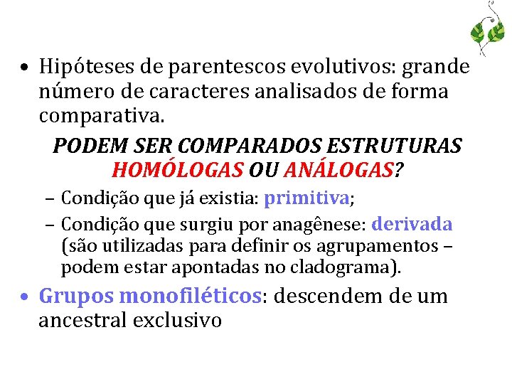  • Hipóteses de parentescos evolutivos: grande número de caracteres analisados de forma comparativa.