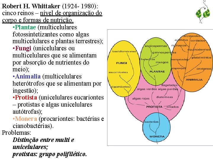 Robert H. Whittaker (1924 - 1980): cinco reinos – nível de organização do corpo