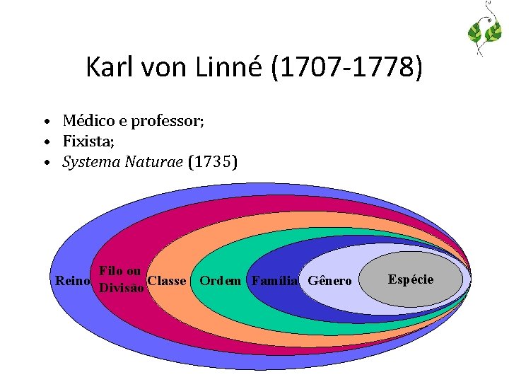 Karl von Linné (1707 -1778) • Médico e professor; • Fixista; • Systema Naturae