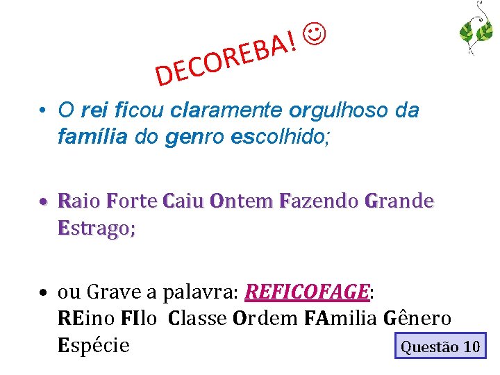 O C E D ! A REB • O rei ficou claramente orgulhoso da