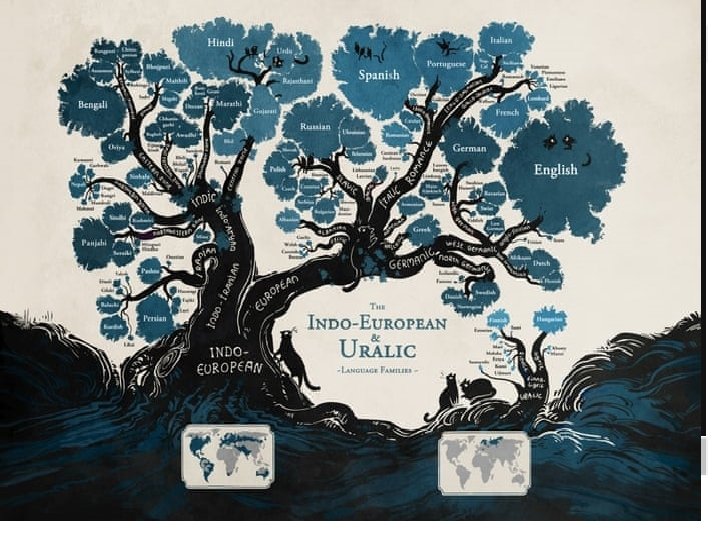 • Linguists have often used trees and branches as metaphors to explain and