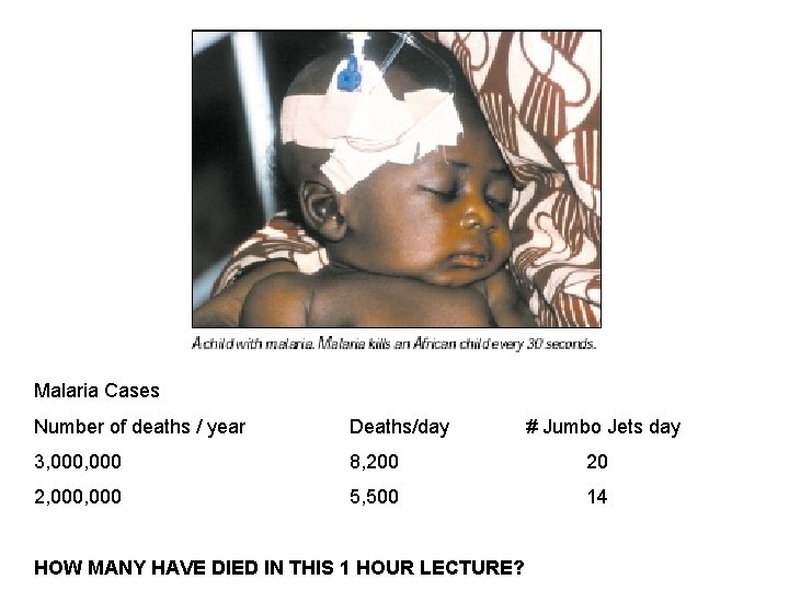 Malaria Cases Number of deaths / year Deaths/day 3, 000 8, 200 20 2,