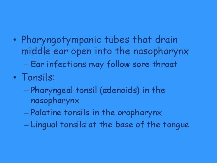• Pharyngotympanic tubes that drain middle ear open into the nasopharynx – Ear • Pharyngotympanic tubes that drain middle ear open into the nasopharynx – Ear