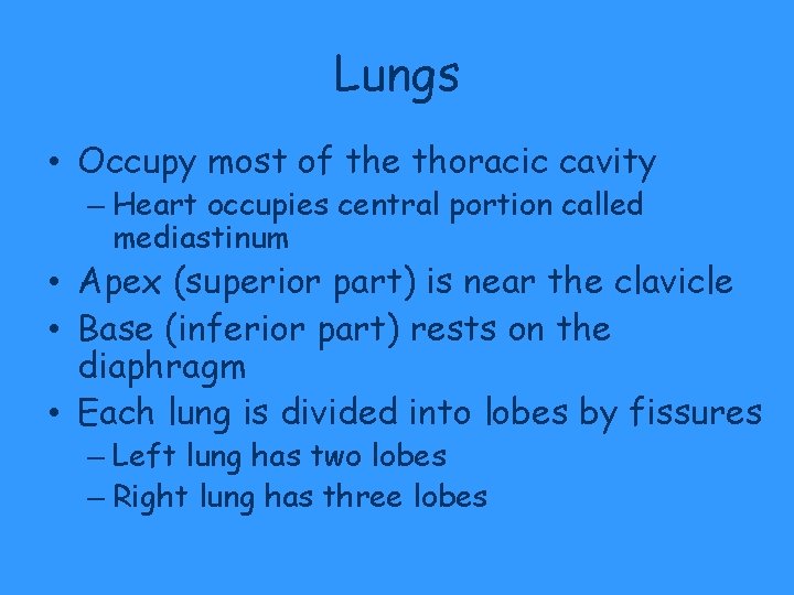 Lungs • Occupy most of the thoracic cavity – Heart occupies central portion called Lungs • Occupy most of the thoracic cavity – Heart occupies central portion called