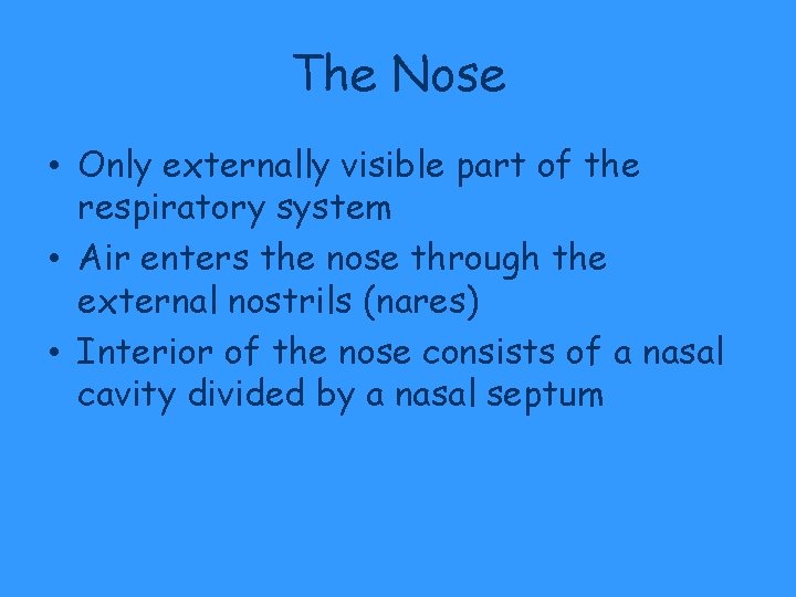 The Nose • Only externally visible part of the respiratory system • Air enters The Nose • Only externally visible part of the respiratory system • Air enters
