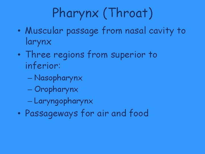 Pharynx (Throat) • Muscular passage from nasal cavity to larynx • Three regions from Pharynx (Throat) • Muscular passage from nasal cavity to larynx • Three regions from