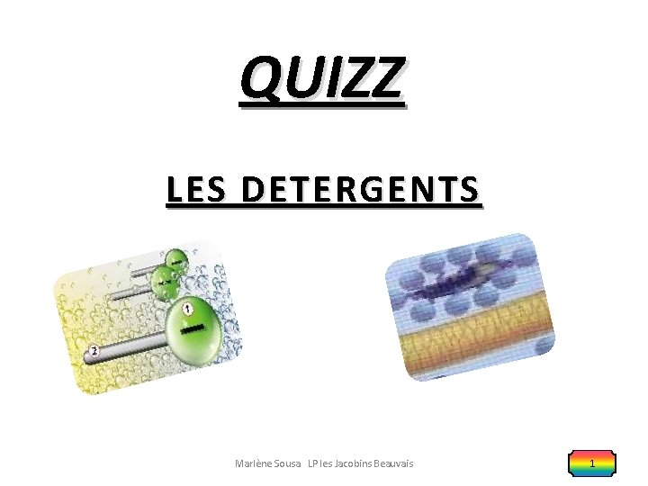 QUIZZ LES DETERGENTS Marlène Sousa LP les Jacobins Beauvais 1 