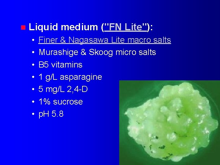 n Liquid medium ("FN Lite"): • • Finer & Nagasawa Lite macro salts Murashige
