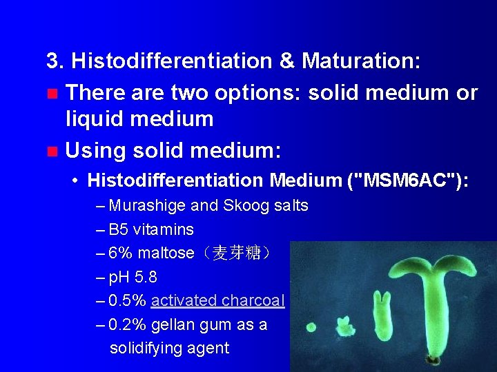 3. Histodifferentiation & Maturation: n There are two options: solid medium or liquid medium