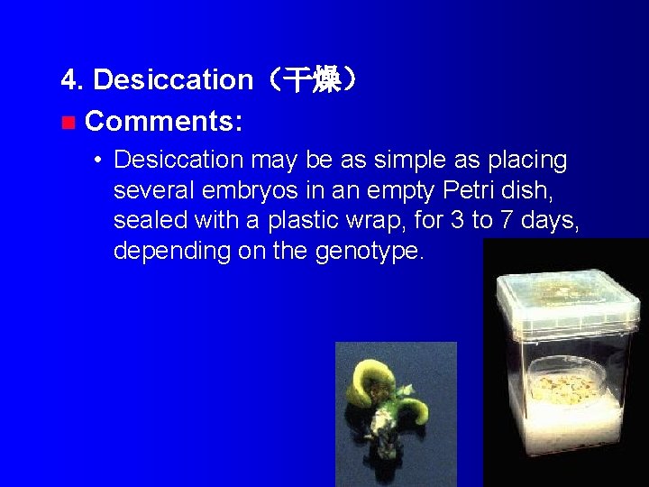 4. Desiccation（干燥） n Comments: • Desiccation may be as simple as placing several embryos