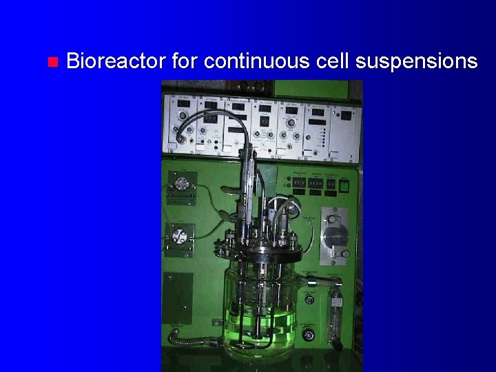 n Bioreactor for continuous cell suspensions 