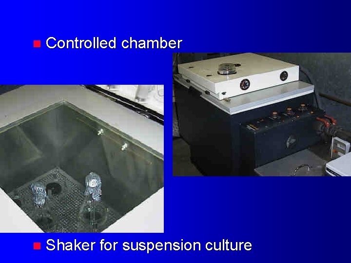 n Controlled chamber n Shaker for suspension culture 