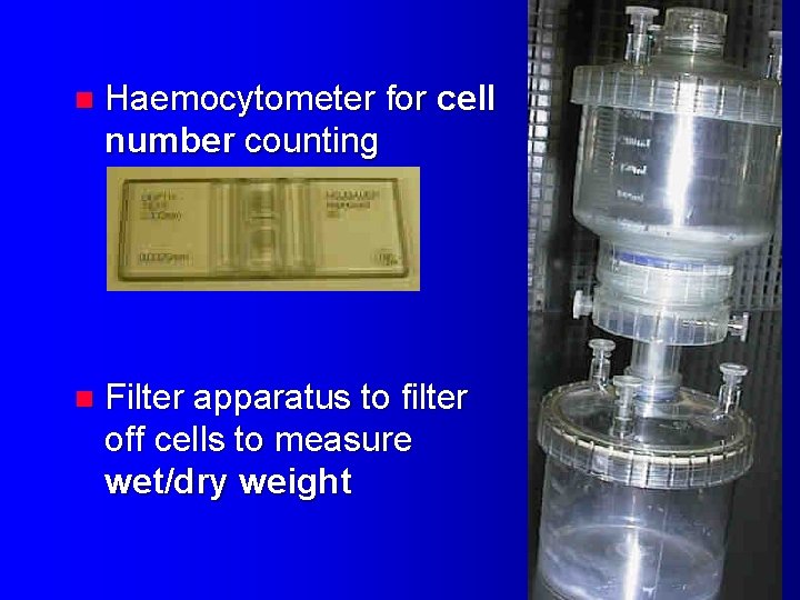 n Haemocytometer for cell number counting n Filter apparatus to filter off cells to