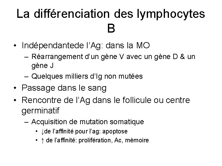 La différenciation des lymphocytes B • Indépendantede l’Ag: dans la MO – Réarrangement d’un