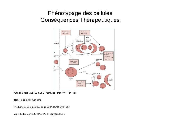 Phénotypage des cellules: Conséquences Thérapeutiques: Kate R Shankland , James O Armitage , Barry