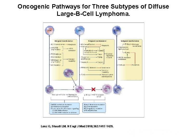 Oncogenic Pathways for Three Subtypes of Diffuse Large-B-Cell Lymphoma. Lenz G, Staudt LM. N