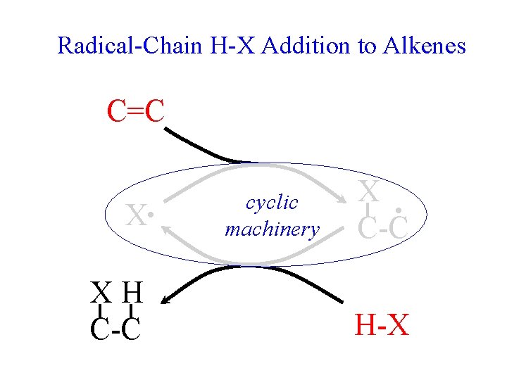 Radical-Chain H-X Addition to Alkenes C=C X • XH C-C cyclic machinery X •