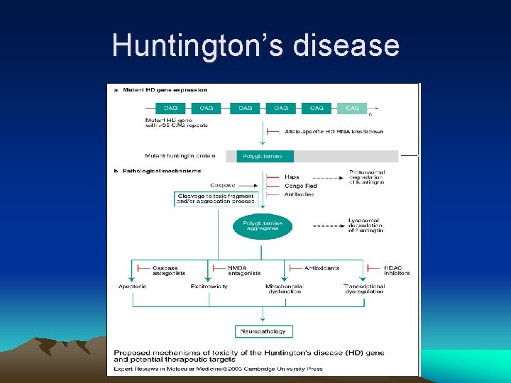 Huntington’s disease 