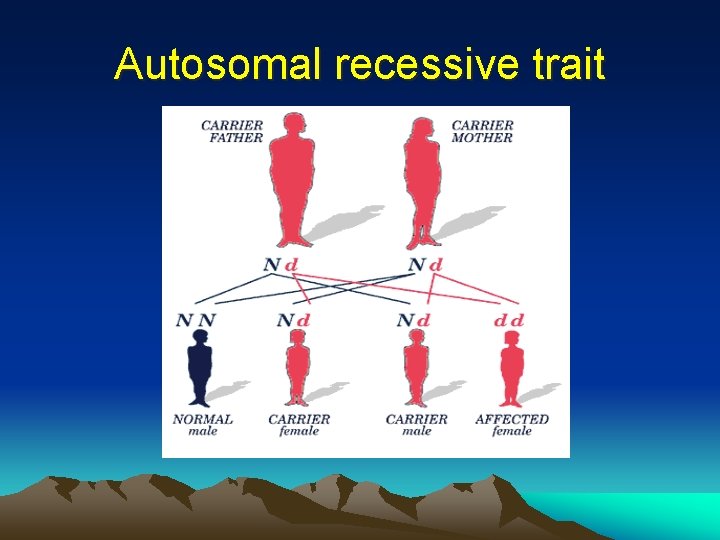 Autosomal recessive trait 
