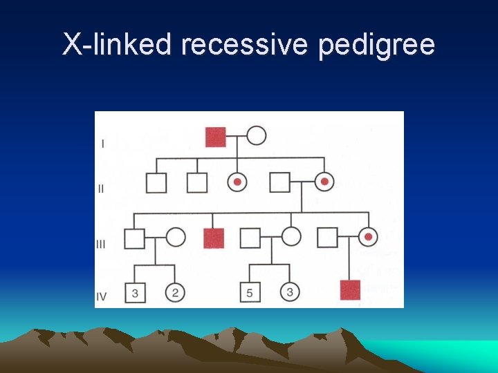 X-linked recessive pedigree 