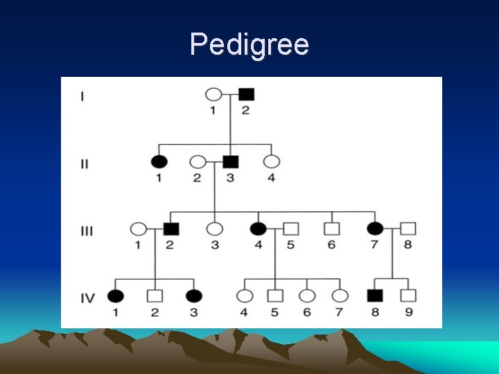 Pedigree 