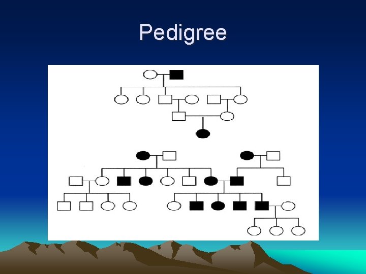 Pedigree 