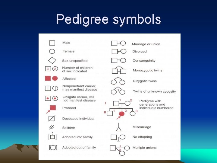 Pedigree symbols 