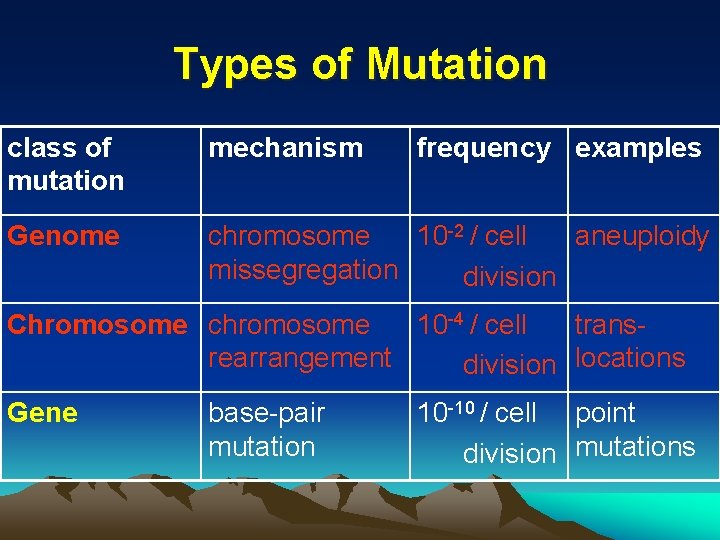Types of Mutation class of mutation mechanism frequency examples Genome chromosome 10 -2 /