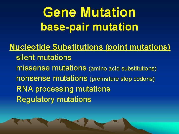 Gene Mutation base-pair mutation Nucleotide Substitutions (point mutations) silent mutations missense mutations (amino acid