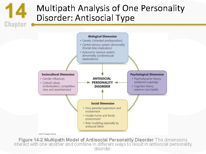 Multipath Analysis of One Personality Disorder: Antisocial Type Figure 14 -2 Multipath Model of