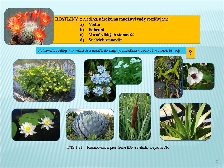 ROSTLINY z hlediska nároků na množství vody rozdělujeme: a) Vodní b) Bahenní c) Mírně