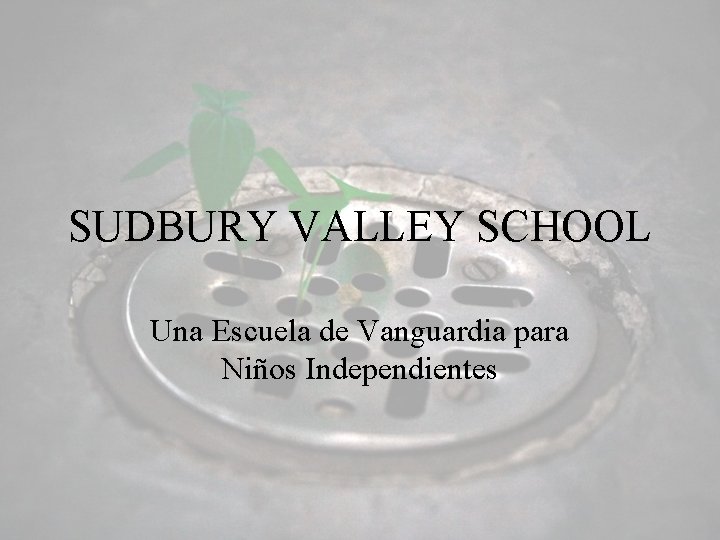 SUDBURY VALLEY SCHOOL Una Escuela de Vanguardia para Niños Independientes 