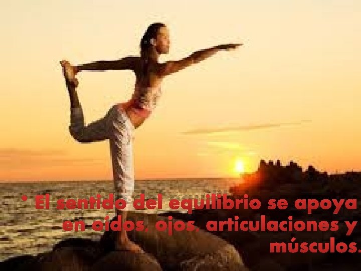 • El sentido del equilibrio se apoya en oídos, ojos, articulaciones y músculos. • El sentido del equilibrio se apoya en oídos, ojos, articulaciones y músculos.