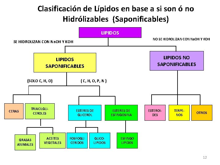 Clasificación de Lípidos en base a si son ó no Hidrólizables (Saponificables) LIPIDOS NO Clasificación de Lípidos en base a si son ó no Hidrólizables (Saponificables) LIPIDOS NO