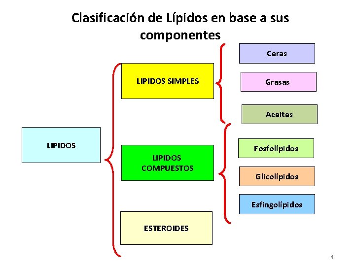 Clasificación de Lípidos en base a sus componentes Ceras LIPIDOS SIMPLES Grasas Aceites LIPIDOS