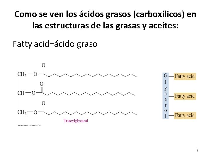 Como se ven los ácidos grasos (carboxílicos) en las estructuras de las grasas y