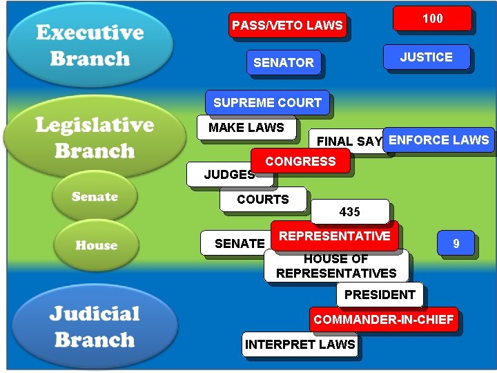 100 PASS/VETO LAWS JUSTICE SENATOR SUPREME COURT MAKE LAWS JUDGES FINAL SAY ENFORCE LAWS