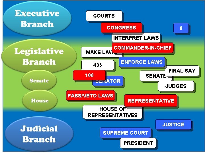 COURTS CONGRESS 9 INTERPRET LAWS COMMANDER-IN-CHIEF MAKE LAWS ENFORCE LAWS 435 100 SENATE SENATOR