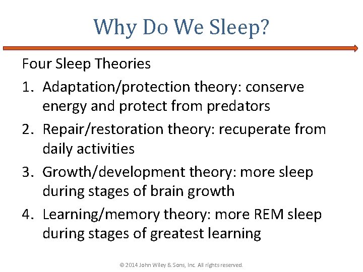 Why Do We Sleep? Four Sleep Theories 1. Adaptation/protection theory: conserve energy and protect