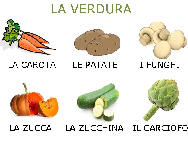 LA VERDURA LA CAROTA LE PATATE I FUNGHI LA ZUCCA LA ZUCCHINA IL CARCIOFO