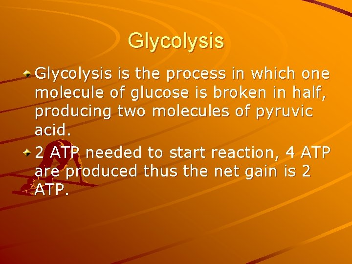 Glycolysis is the process in which one molecule of glucose is broken in half,