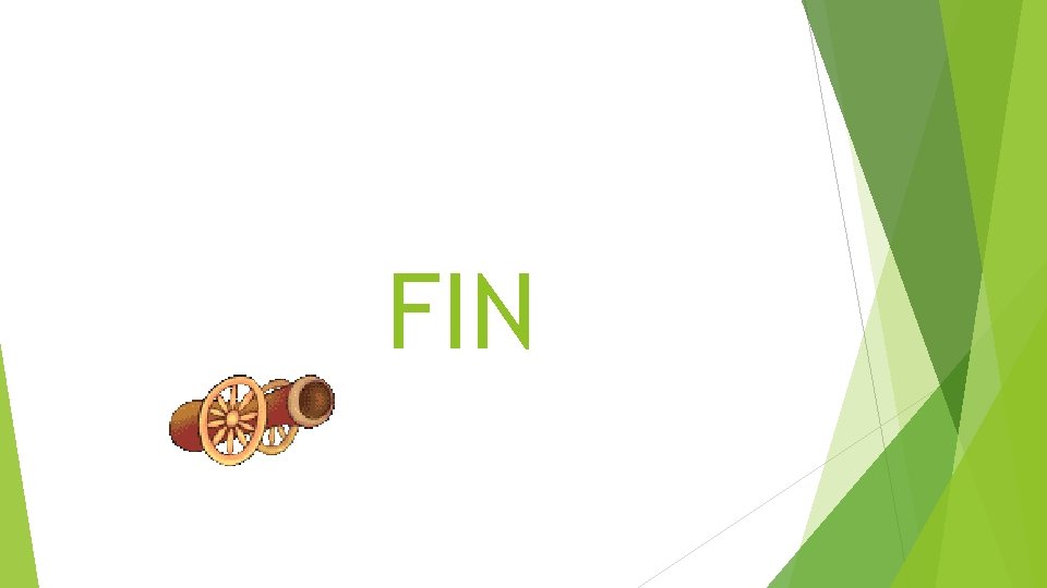 FIN 