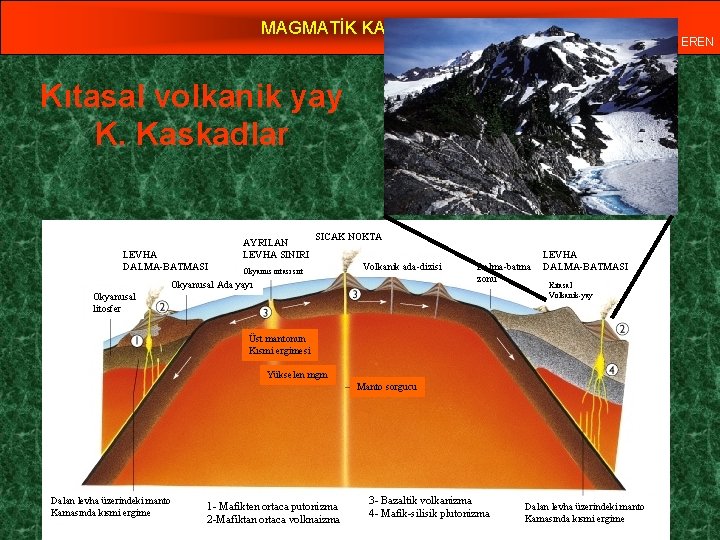 MAGMATİK KAYAÇLAR Yrd. Doç. Dr. Yaşar EREN Kıtasal volkanik yay K. Kaskadlar LEVHA DALMA-BATMASI